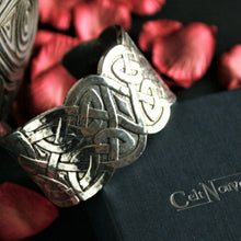 Load image into Gallery viewer, Front detail